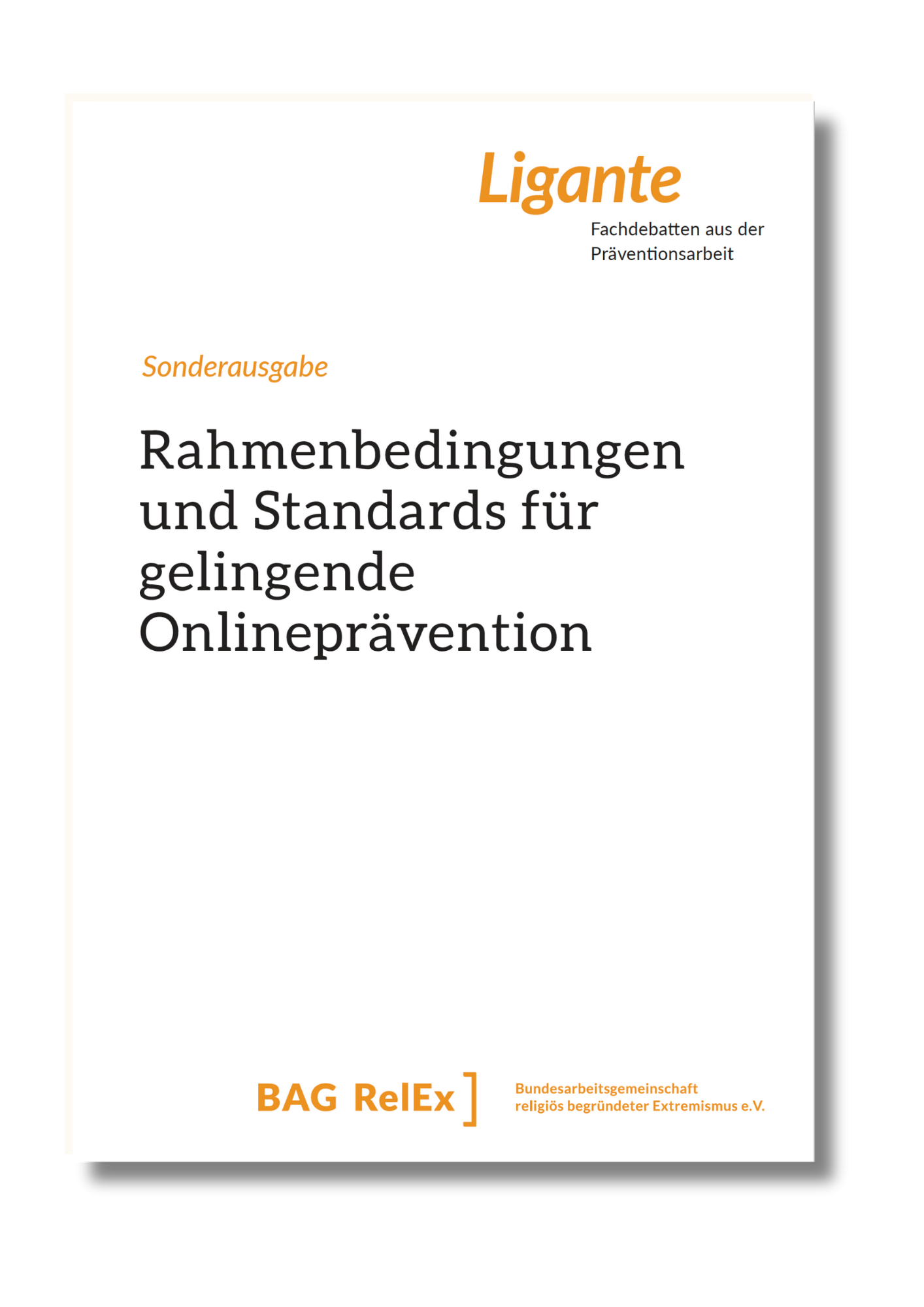 Cover der Publikation "Rahmenbedingungen und Standards für gelingende Onlineprävention"