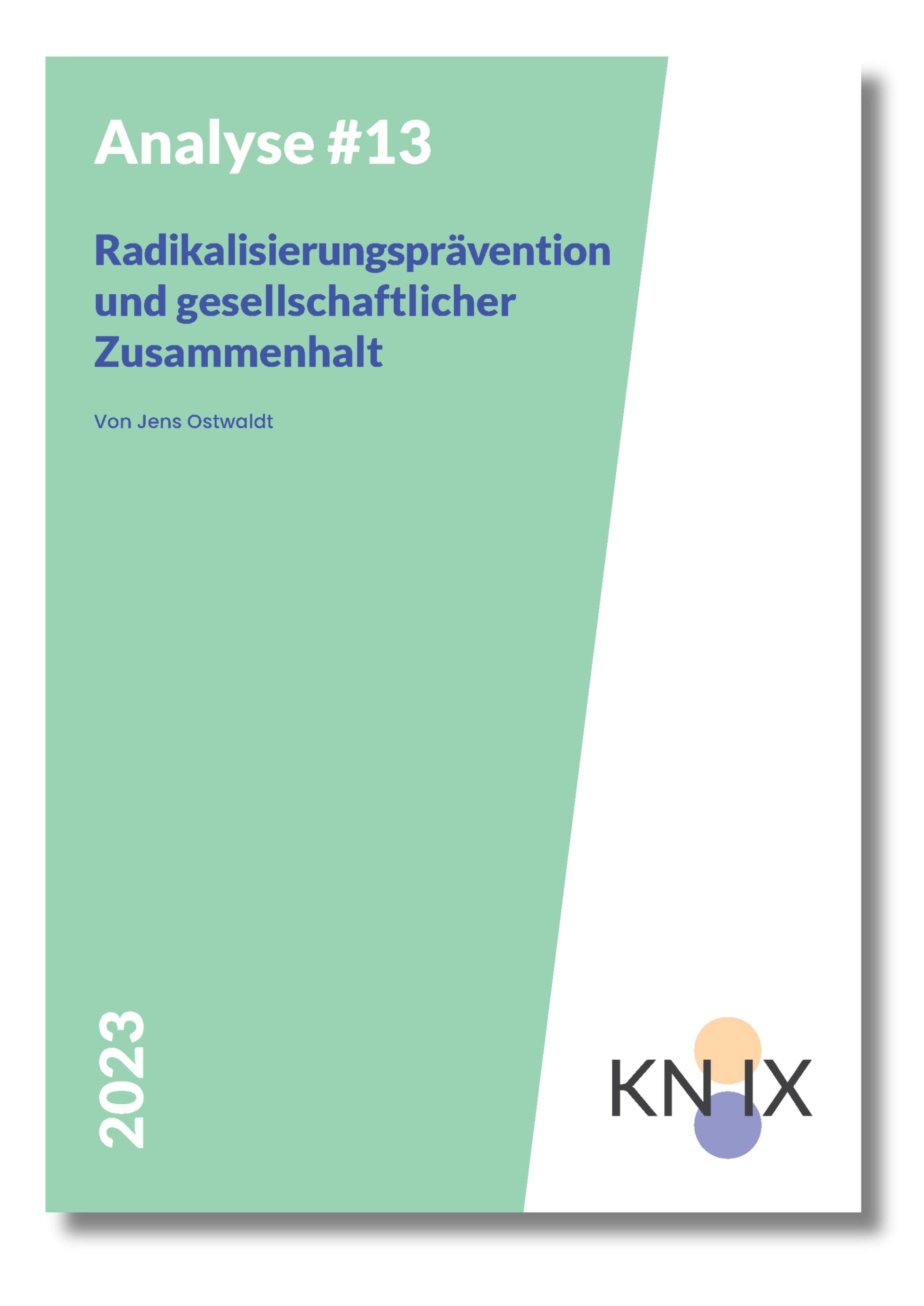 Cover KNIX Analyse13