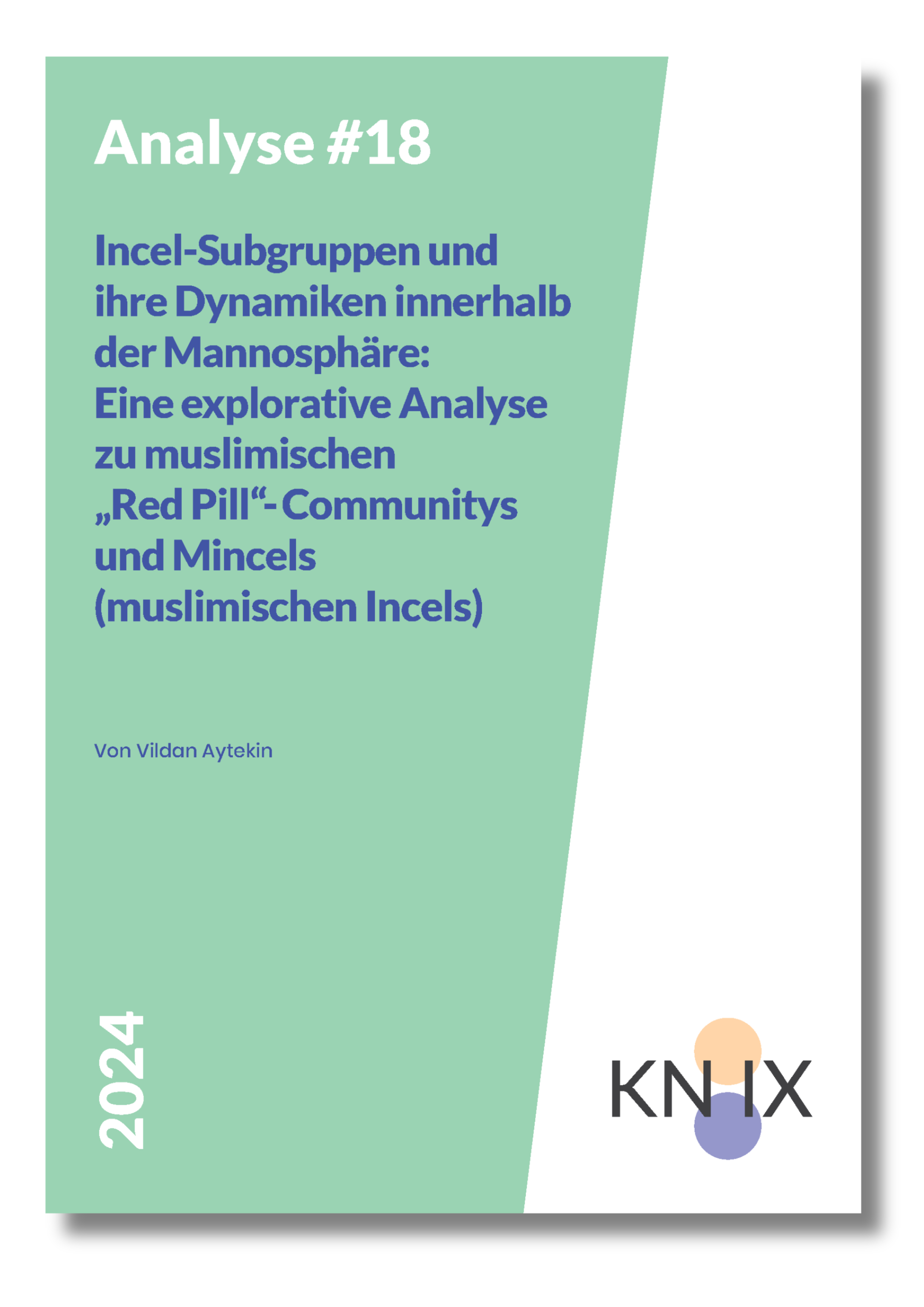 Cover KNIX Analyse18